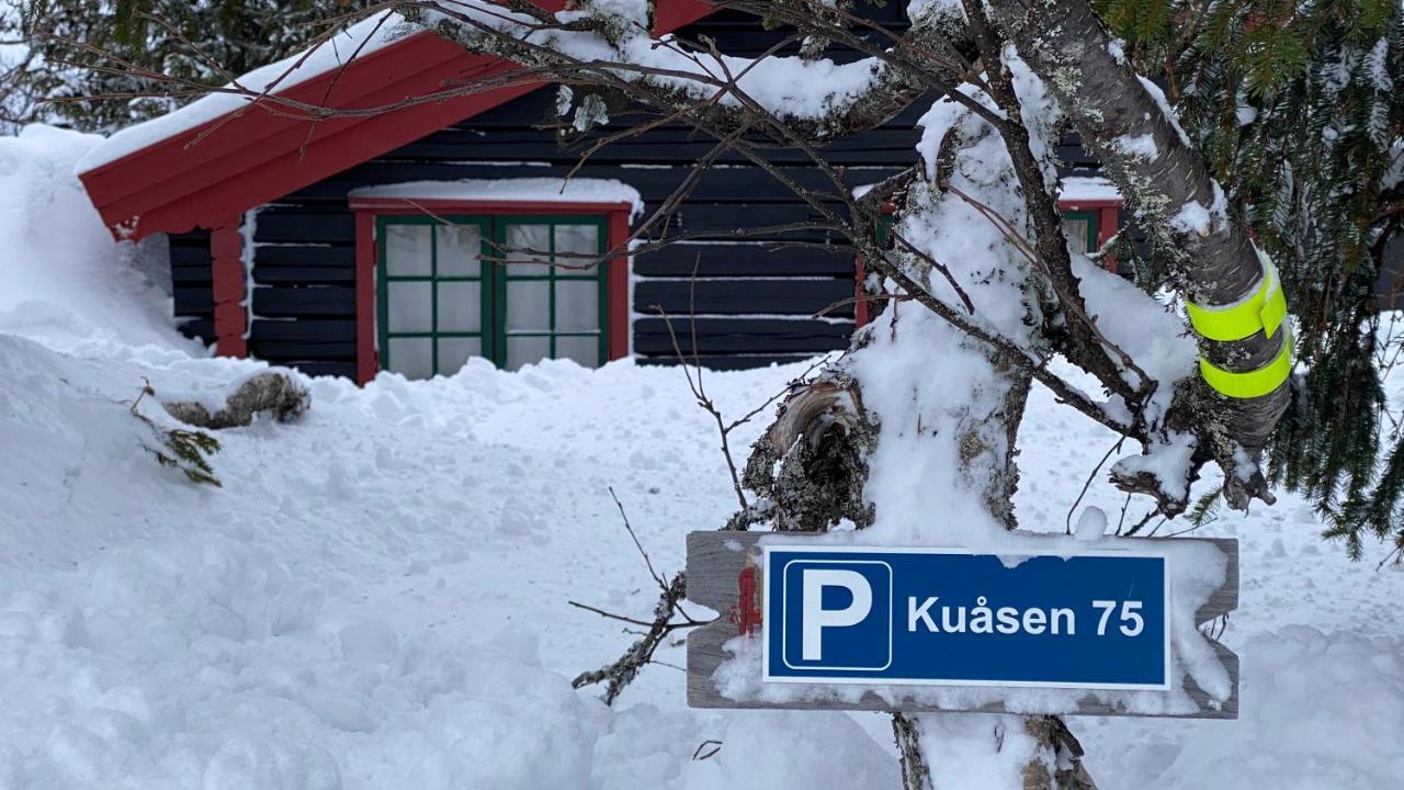 Bjerkely, Sjusjoen Villa Exterior photo