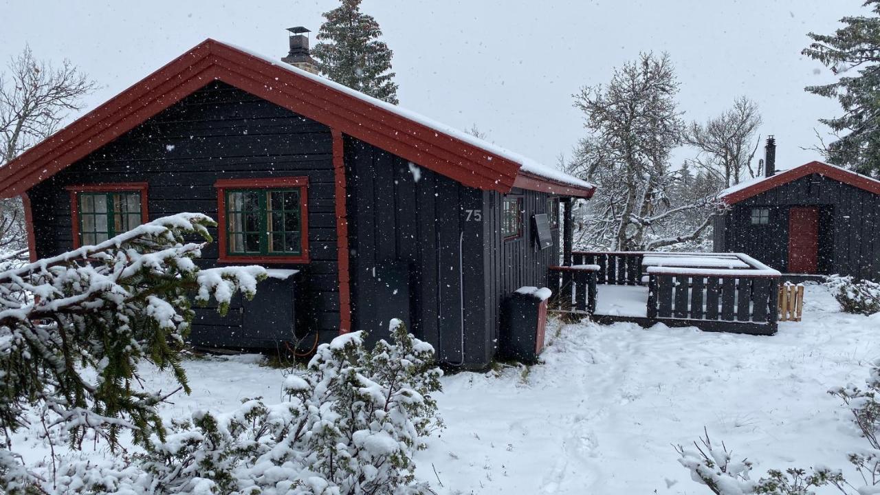 Bjerkely, Sjusjoen Villa Exterior photo