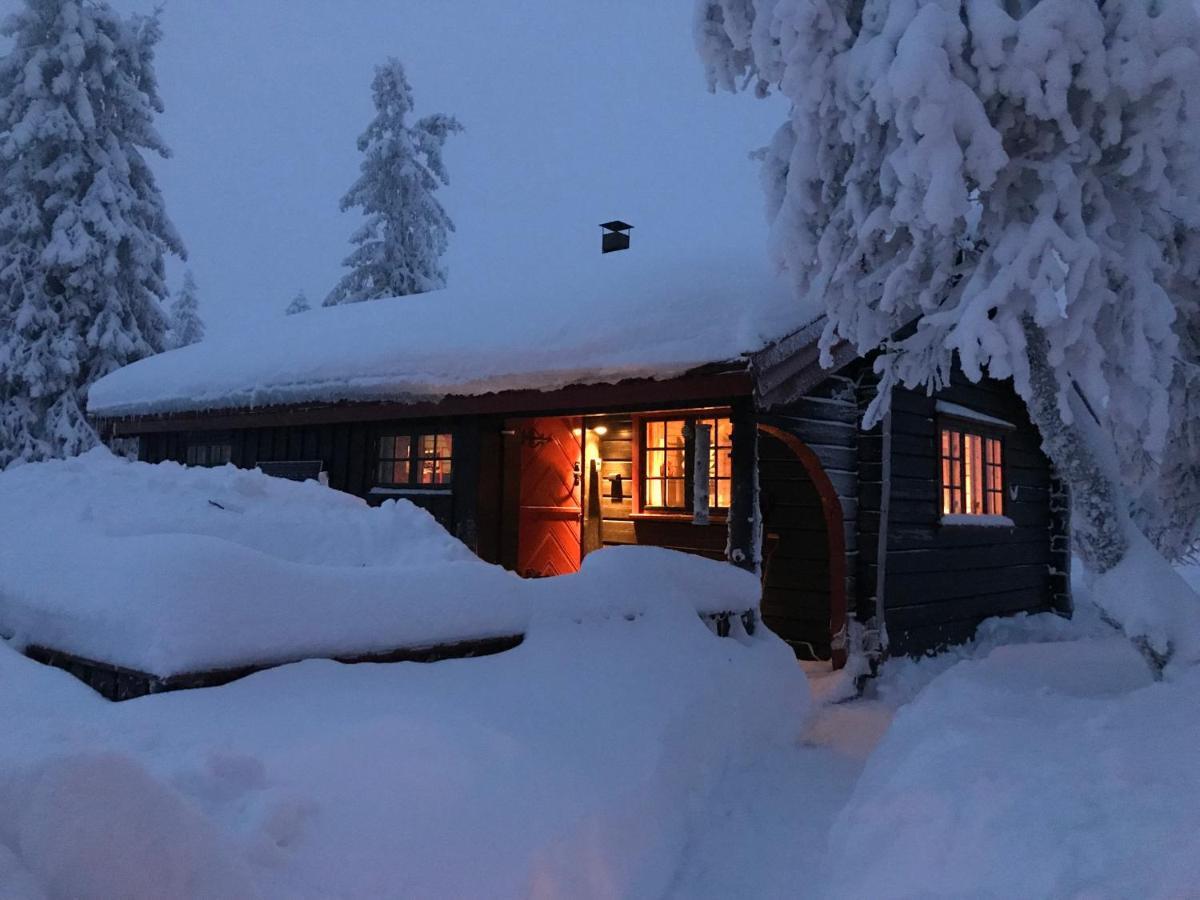 Bjerkely, Sjusjoen Villa Exterior photo